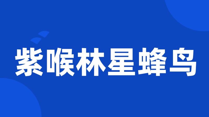 紫喉林星蜂鸟