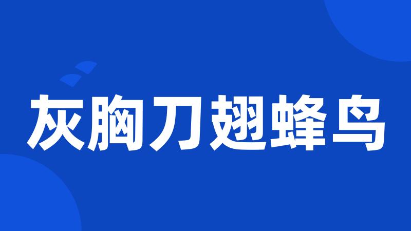 灰胸刀翅蜂鸟