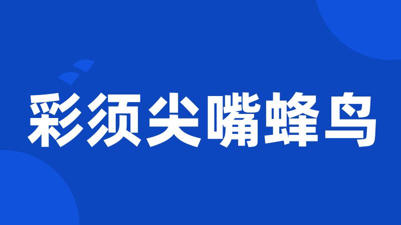 彩须尖嘴蜂鸟