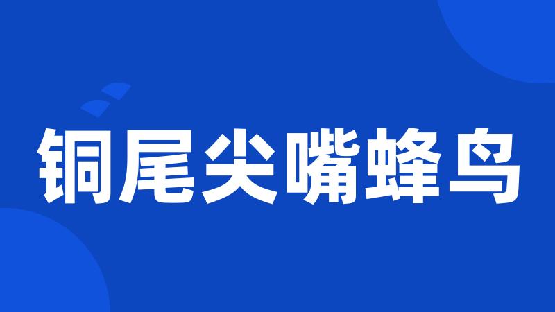 铜尾尖嘴蜂鸟