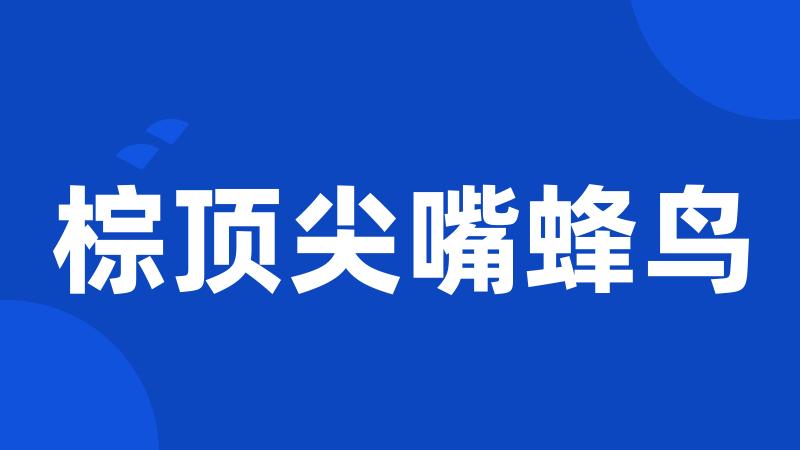 棕顶尖嘴蜂鸟