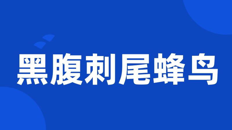 黑腹刺尾蜂鸟