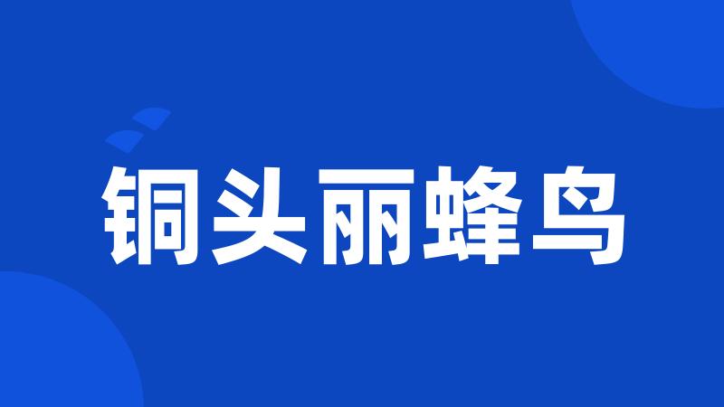 铜头丽蜂鸟