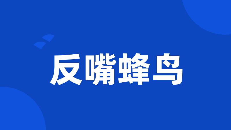 反嘴蜂鸟