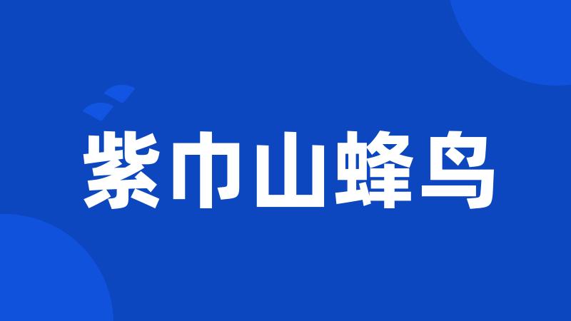 紫巾山蜂鸟
