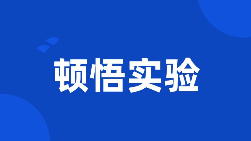 顿悟实验