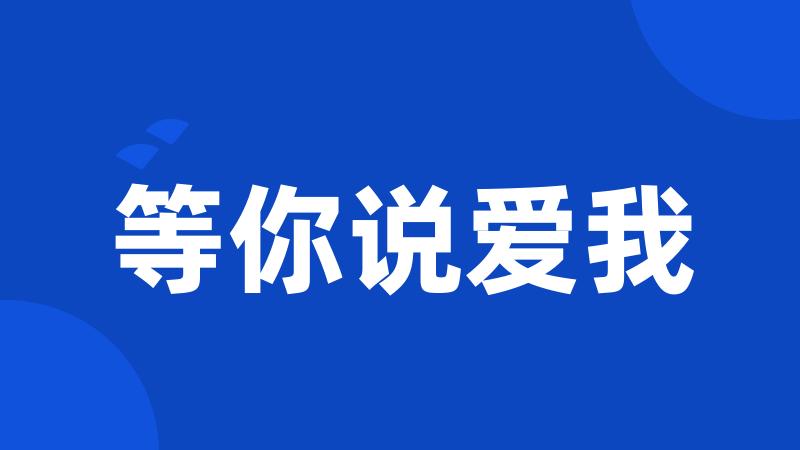 等你说爱我