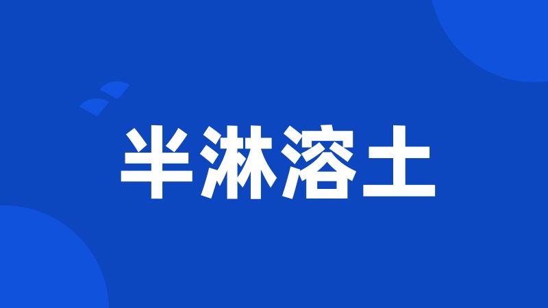 半淋溶土