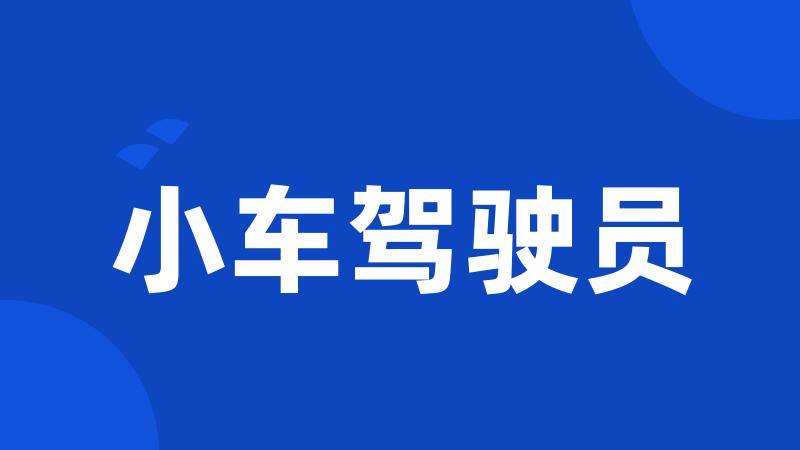 小车驾驶员