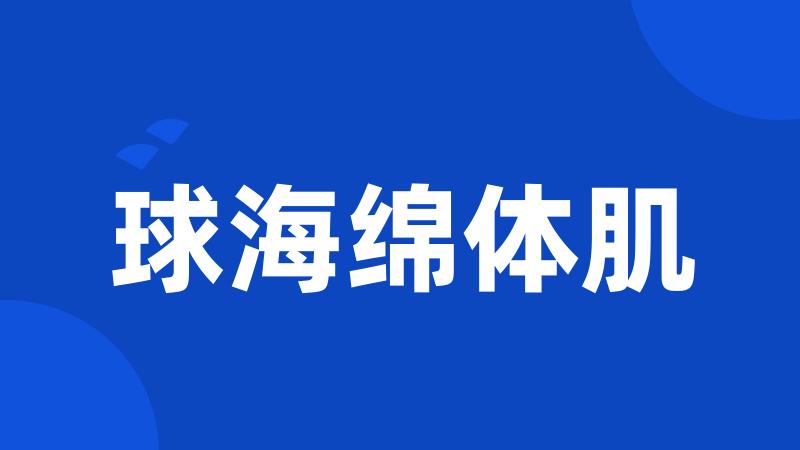 球海绵体肌