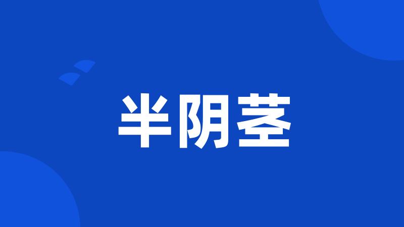 半阴茎