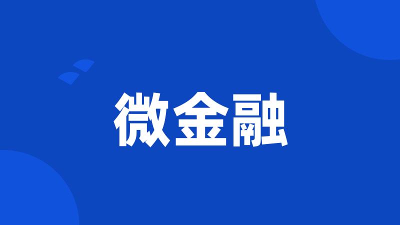 微金融