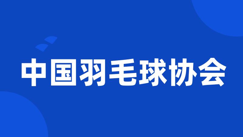 中国羽毛球协会