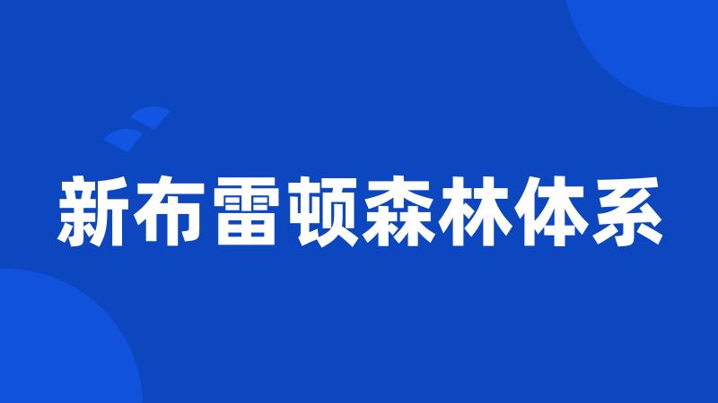 新布雷顿森林体系