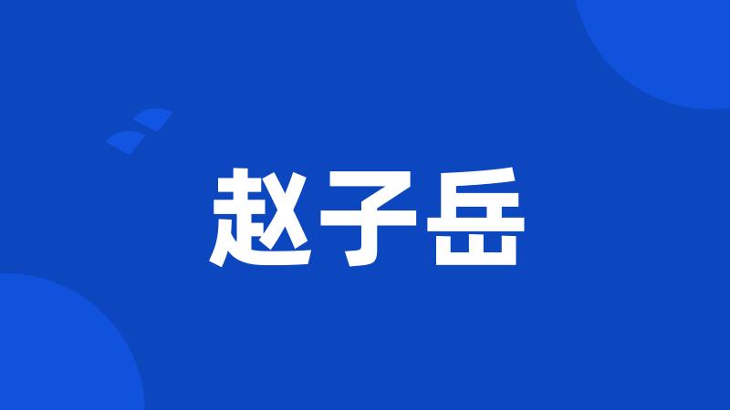 赵子岳