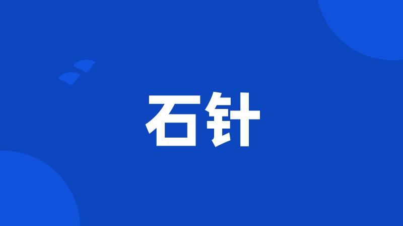 石针