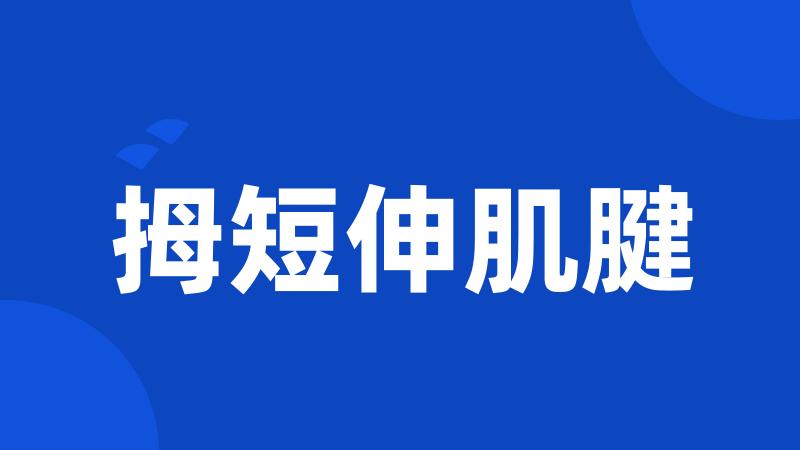 拇短伸肌腱