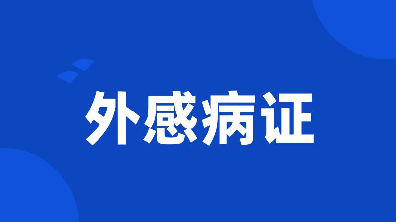 外感病证