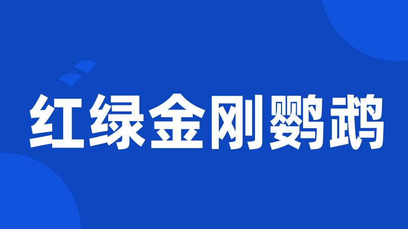 红绿金刚鹦鹉
