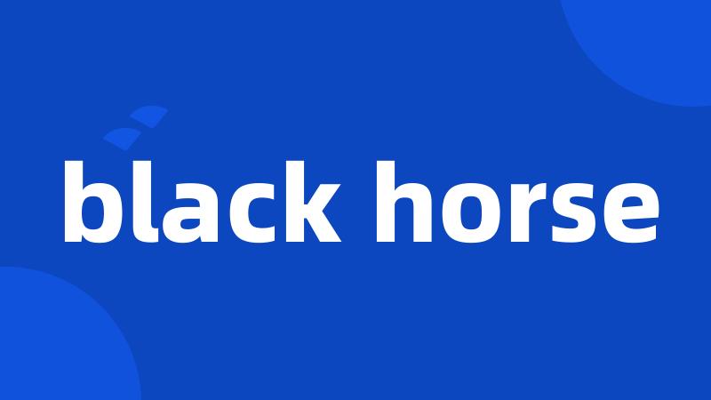 black horse