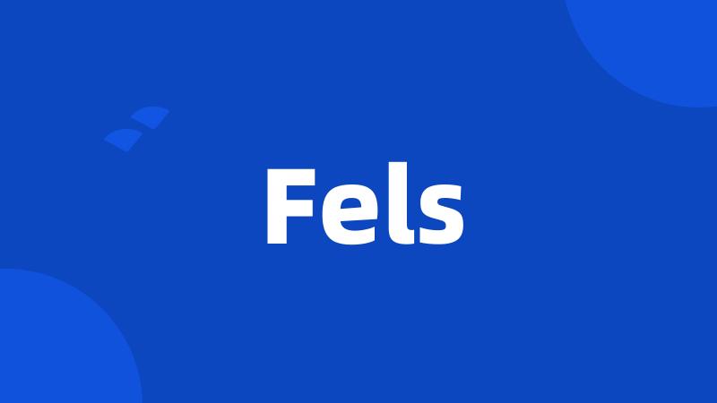 Fels