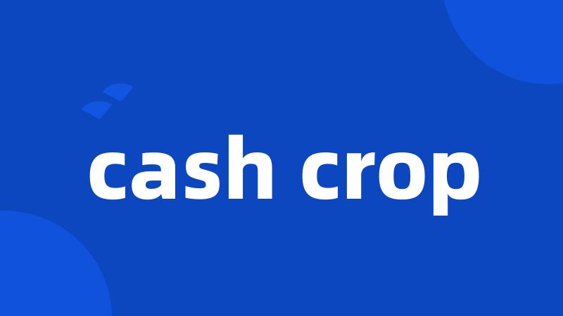 cash crop