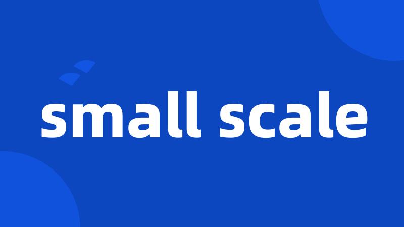 small scale