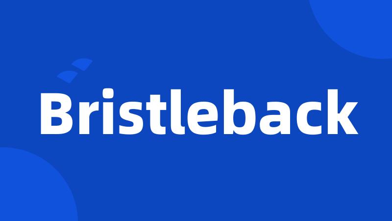 Bristleback