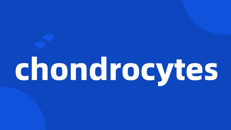 chondrocytes