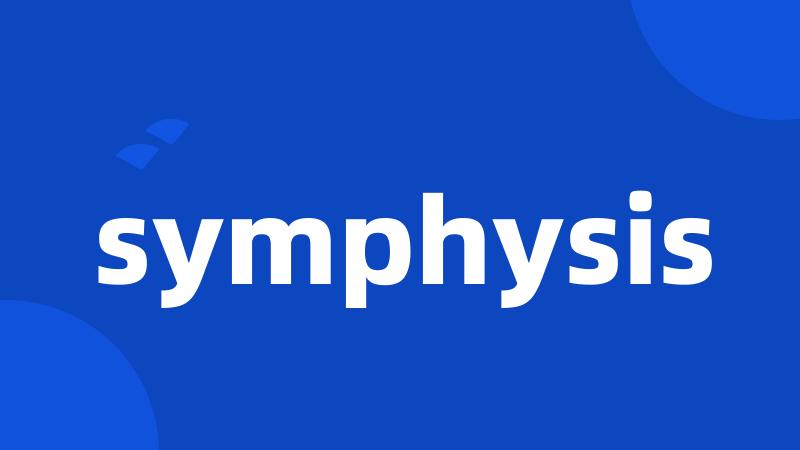 symphysis