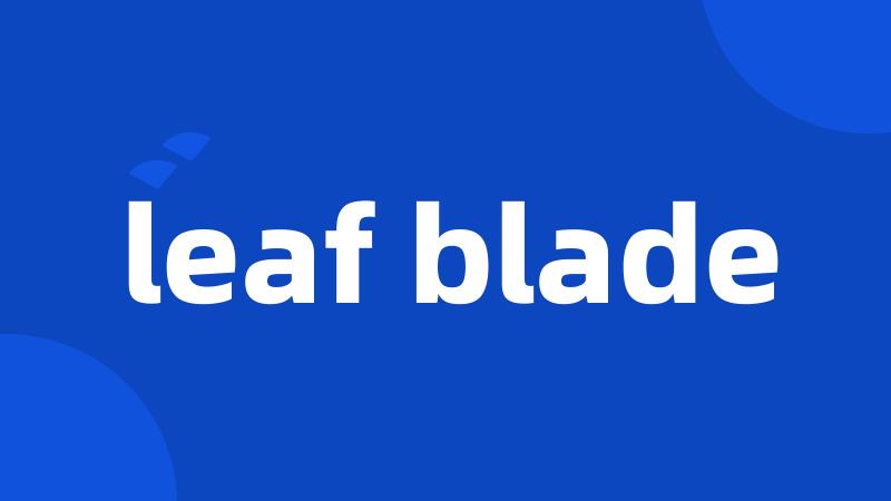 leaf blade