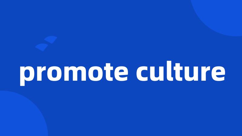 promote culture