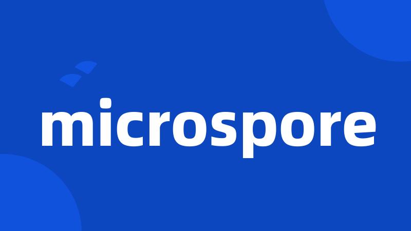 microspore
