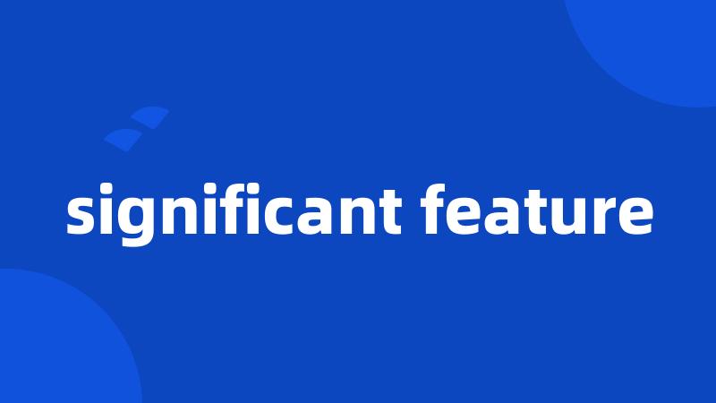 significant feature