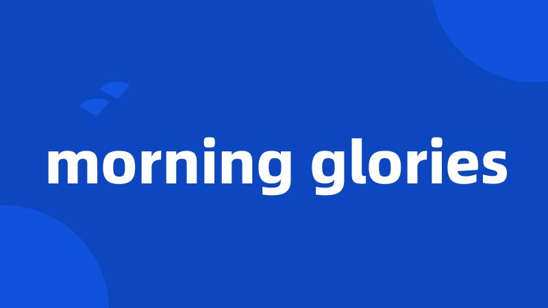 morning glories