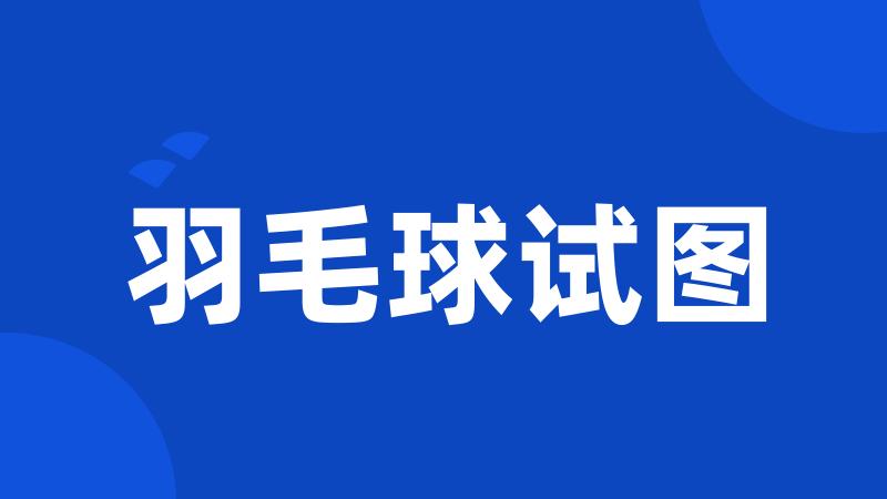 羽毛球试图