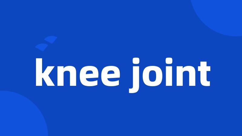 knee joint