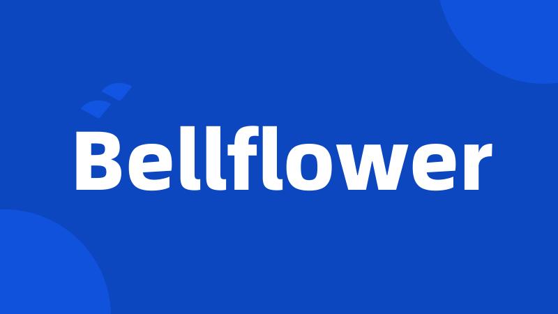 Bellflower