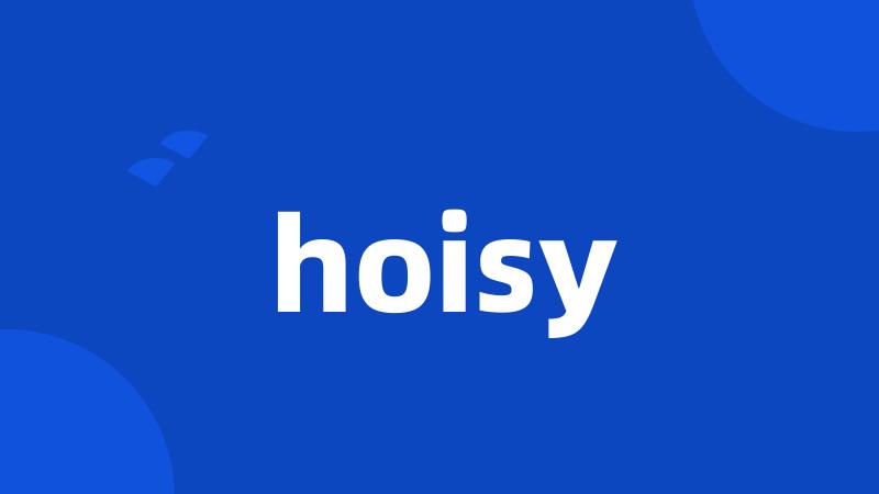 hoisy