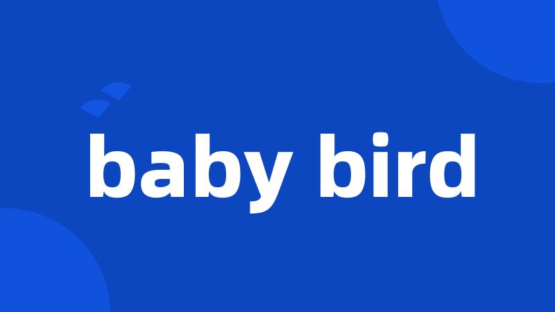 baby bird