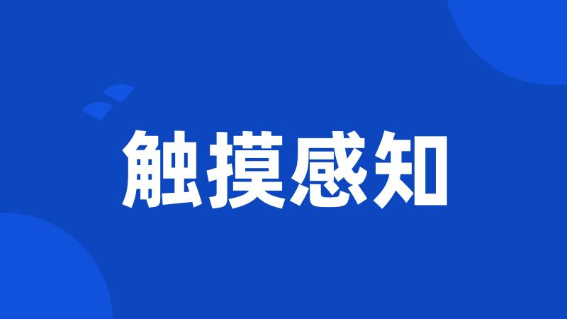 触摸感知