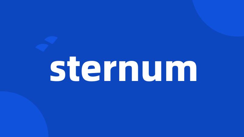 sternum