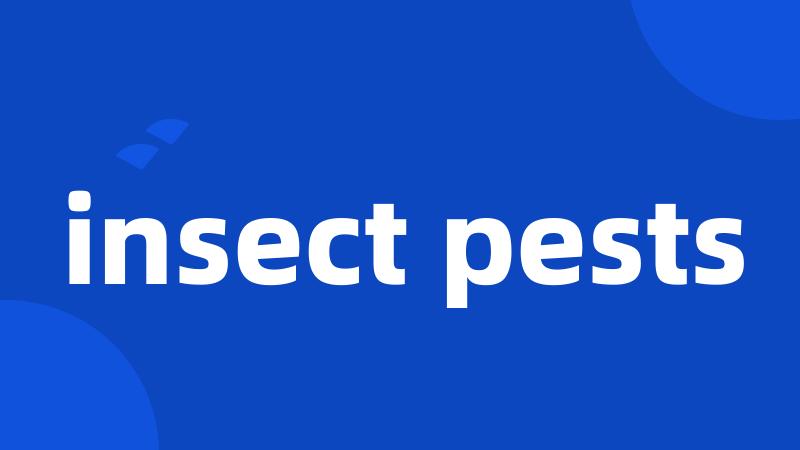 insect pests
