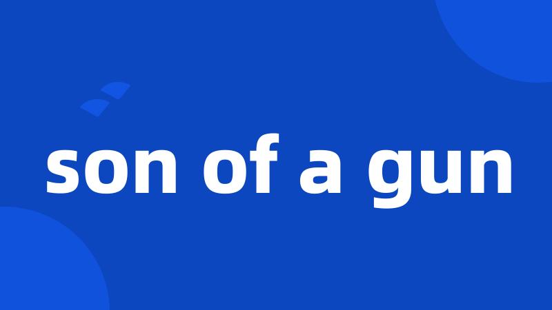son of a gun