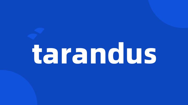 tarandus
