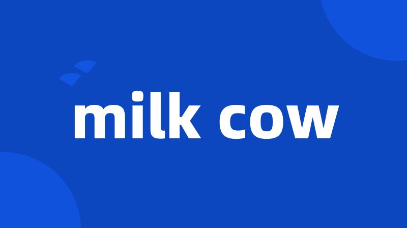 milk cow