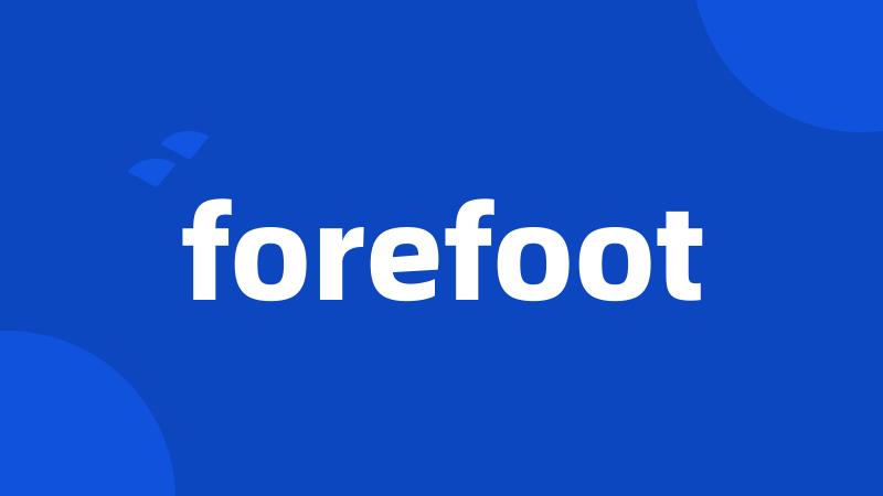 forefoot