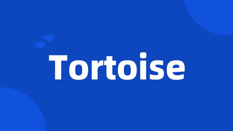 Tortoise