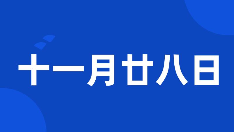 十一月廿八日