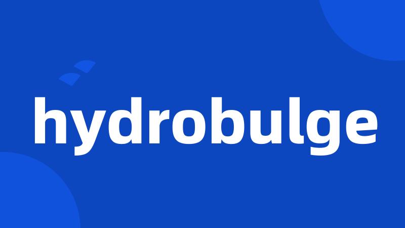 hydrobulge